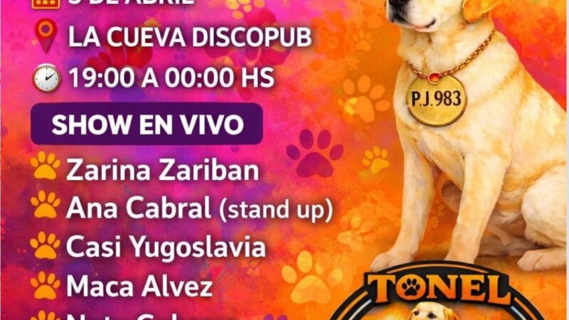 Evento solidario en Río Gallegos: música y stand up por los animales