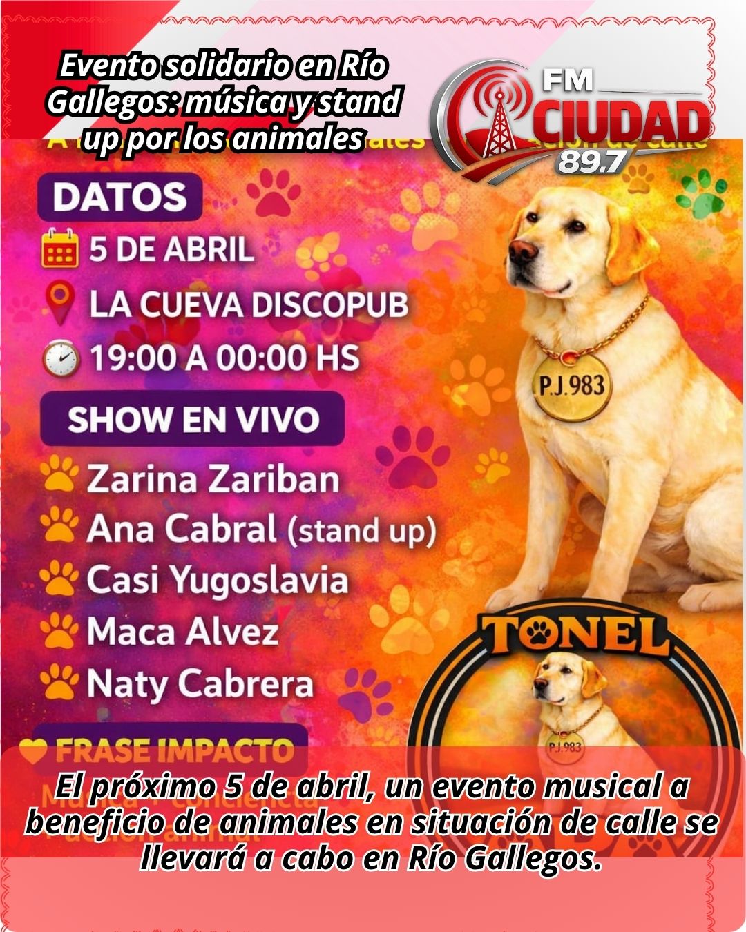 Evento solidario en Río Gallegos: música y stand up por los animales