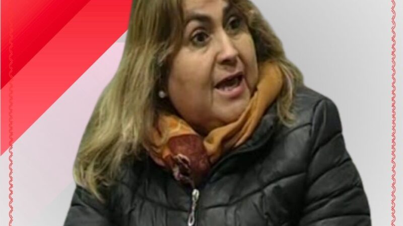 Situación actual de las amas de casa en Santa Cruz