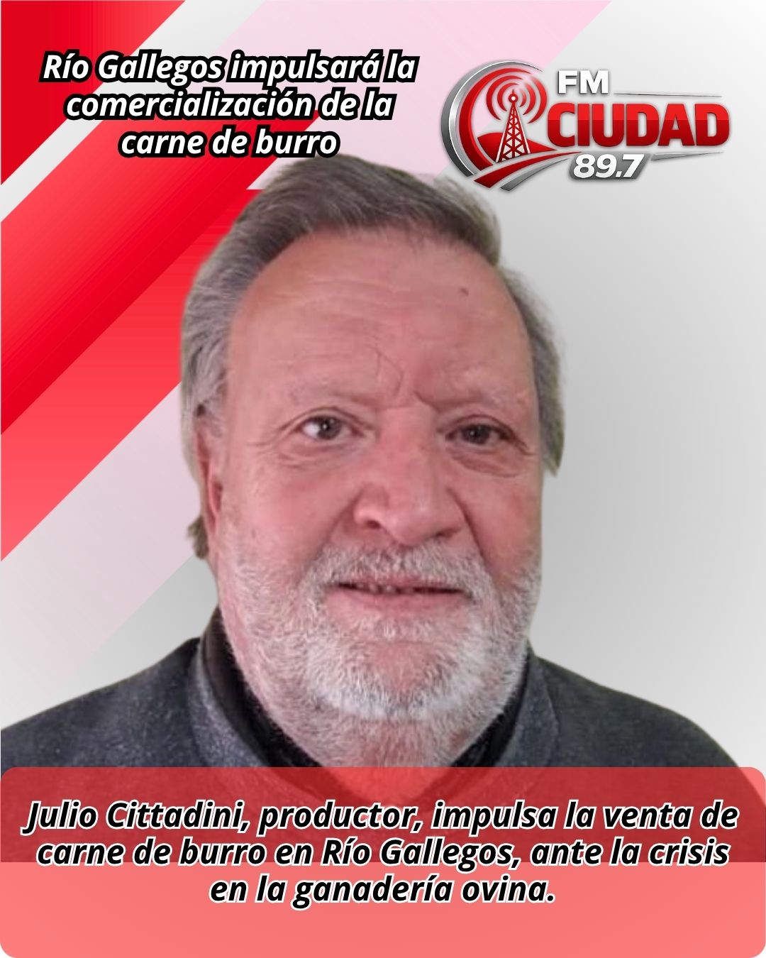 Chubut impulsará la comercialización de la carne de burro