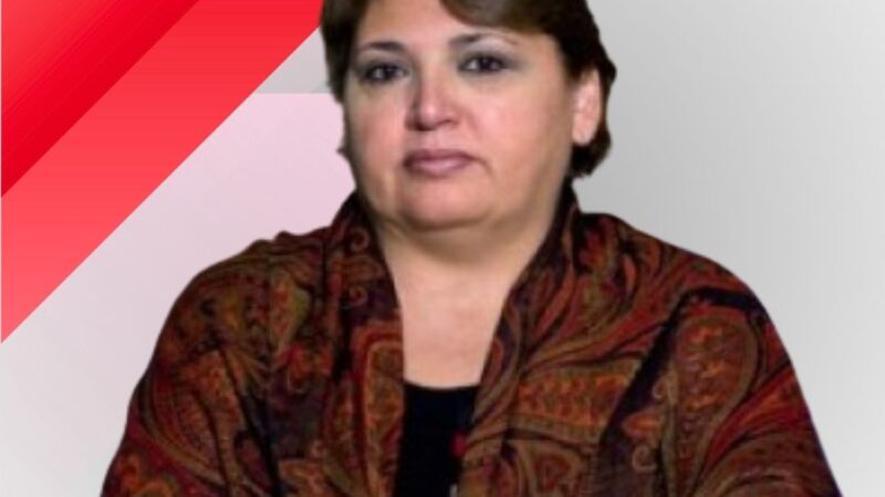 Expulsión Diputado Garrido y Senadora Gadano: decisiones del PJ en Congreso Provincial.