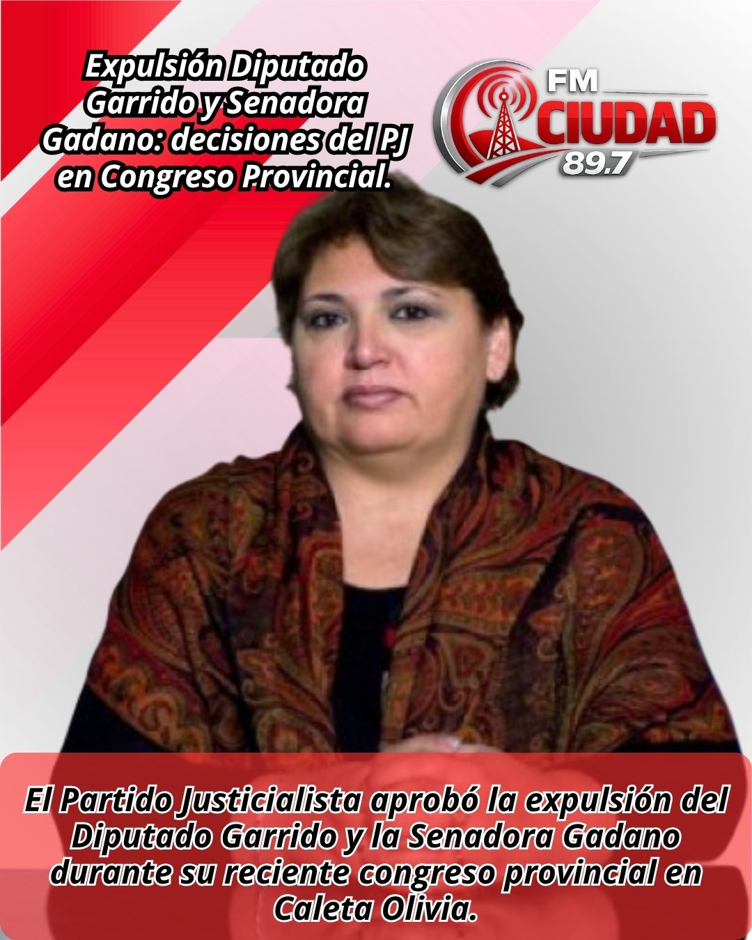 Expulsión Diputado Garrido y Senadora Gadano: decisiones del PJ en Congreso Provincial.