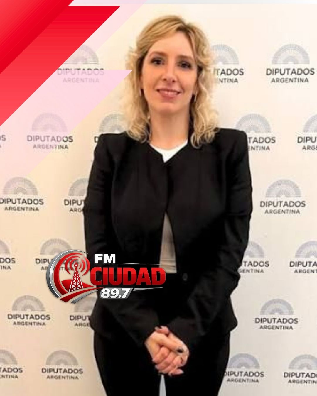 Moira Lanesan asumió en la Comisión de Comercio de Diputados