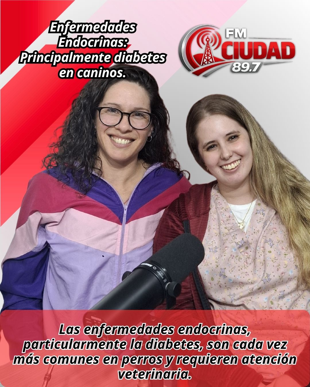 Enfermedades Endocrinas: Principalmente diabetes en caninos.
