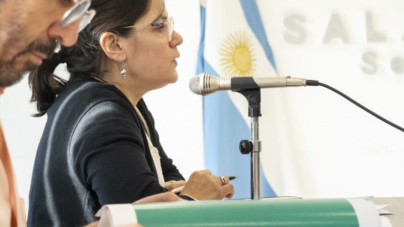 Nueva jornada de labor en comisiones en la Cámara de Diputados de Santa Cruz