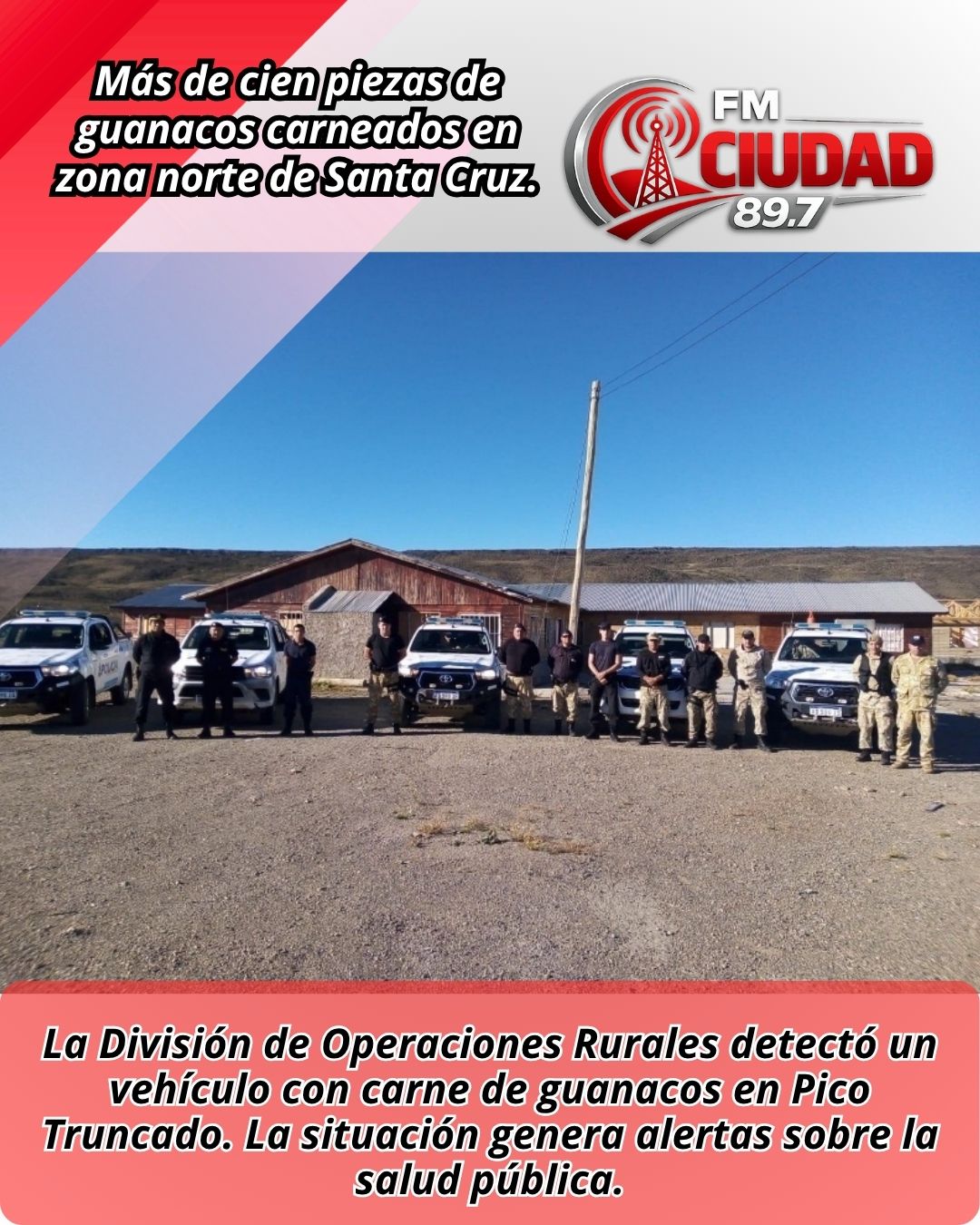 Más de cien piezas de guanacos carneados en zona norte de Santa Cruz.