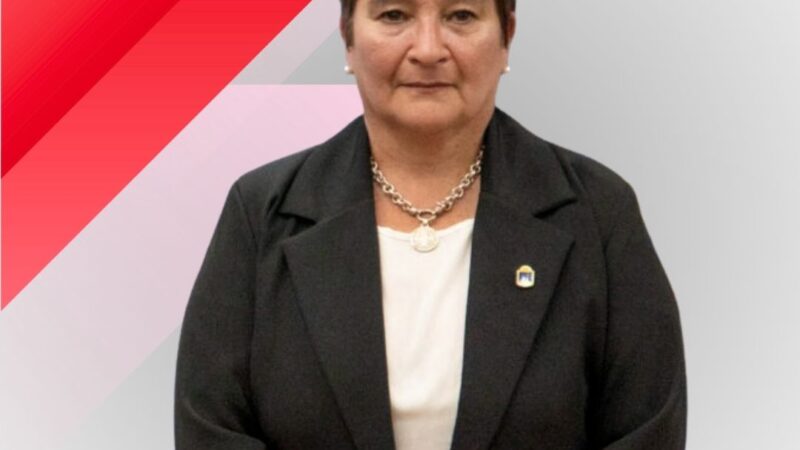 La Municipalidad de Río Gallegos avanza en la entrega de leña a familias