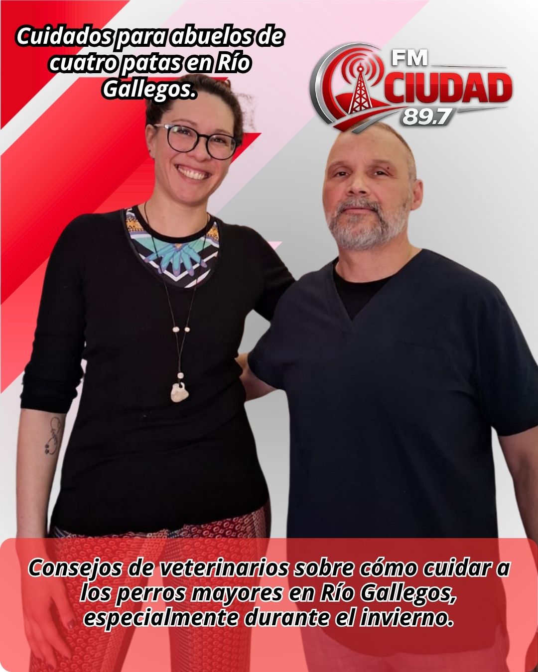 Cuidados para abuelos de cuatro patas en Río Gallegos.