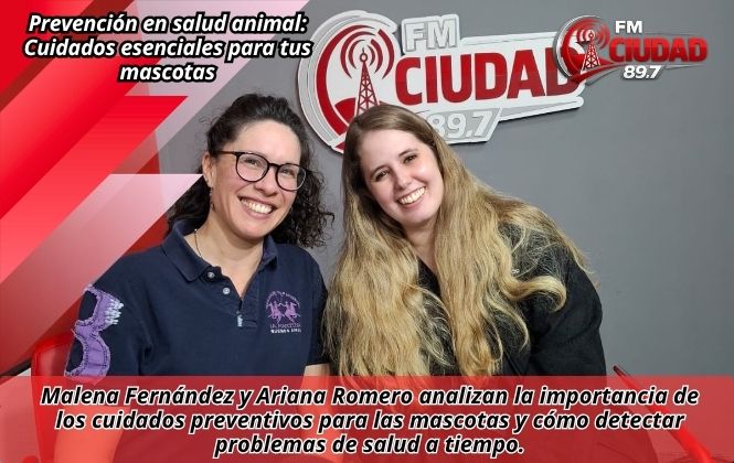 Prevención en salud animal: Cuidados esenciales para tus mascotas