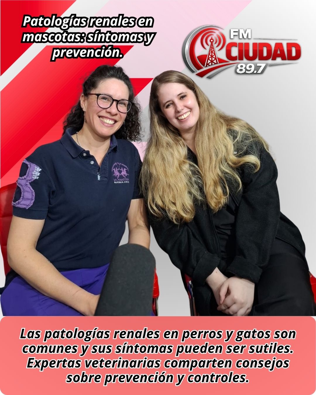 Patologías renales en mascotas: síntomas y prevención.