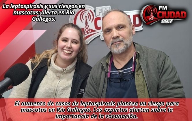 La leptospirosis y sus riesgos en mascotas: alerta en Río Gallegos.
