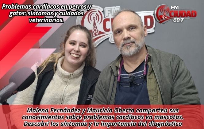 Problemas cardíacos en perros y gatos: síntomas y cuidados veterinarios.