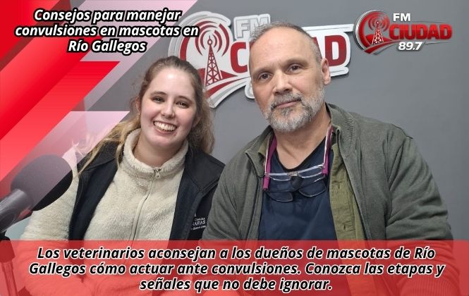 Consejos para manejar convulsiones en mascotas en Río Gallegos