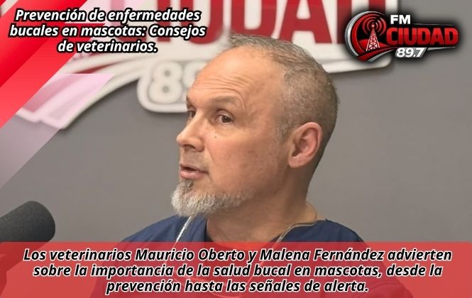 Prevención de enfermedades bucales en mascotas: Consejos de veterinarios.