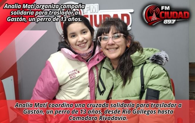 Analia Matí organiza campaña solidaria para trasladar a Gastón, un perro de 13 años.