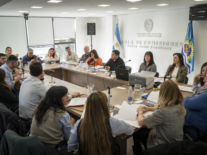 Intensa jornada de labor parlamentaria en comisiones