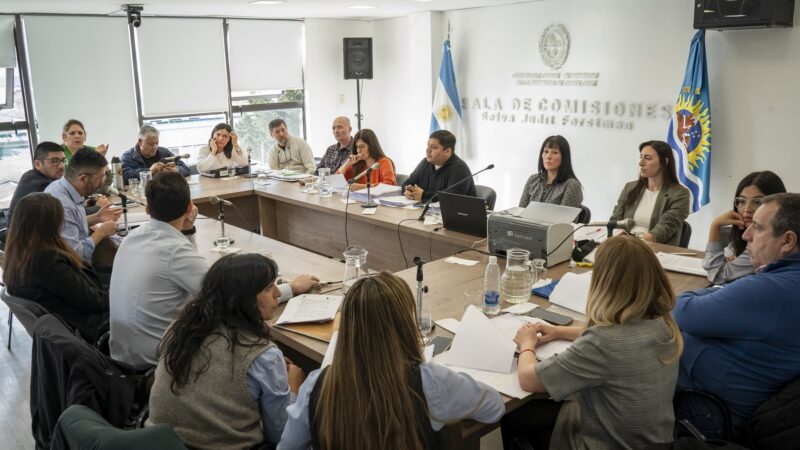 Intensa jornada de labor parlamentaria en comisiones