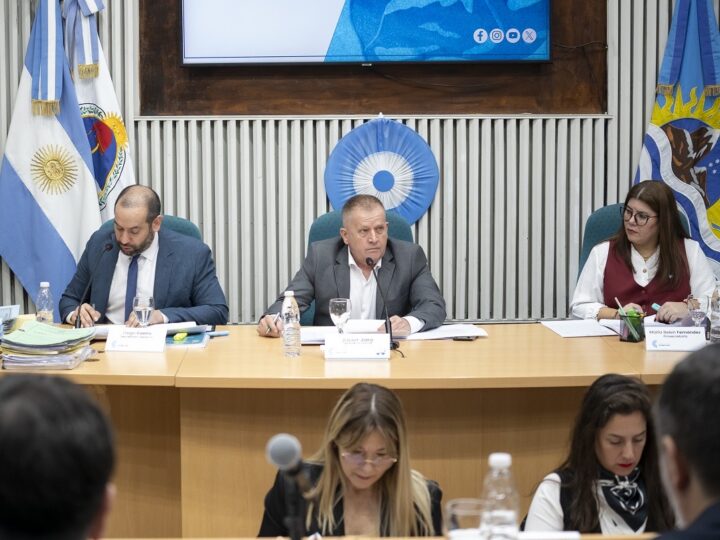 Diputados aprobaron el programa de abordaje integral de prevención del suicidio en el ámbito educativo de Santa Cruz