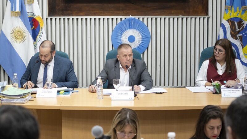 Diputados aprobaron el programa de abordaje integral de prevención del suicidio en el ámbito educativo de Santa Cruz