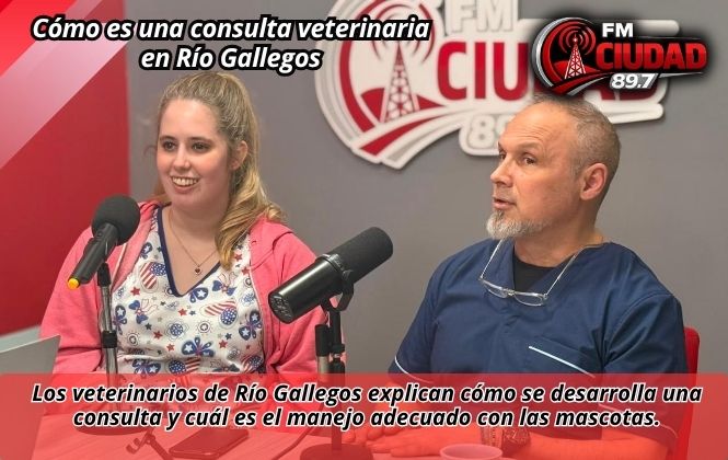 Cómo es una consulta veterinaria en Río Gallegos
