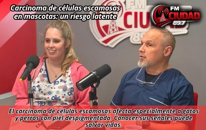 Carcinoma de células escamosas en mascotas: un riesgo latente