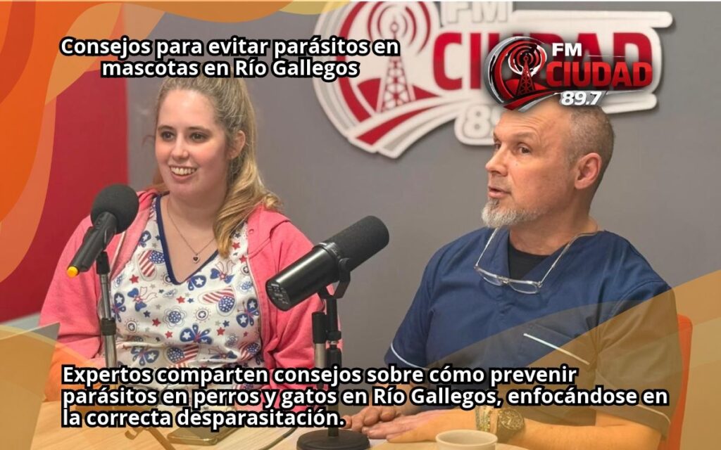 Consejos para evitar parásitos en mascotas en Río Gallegos
