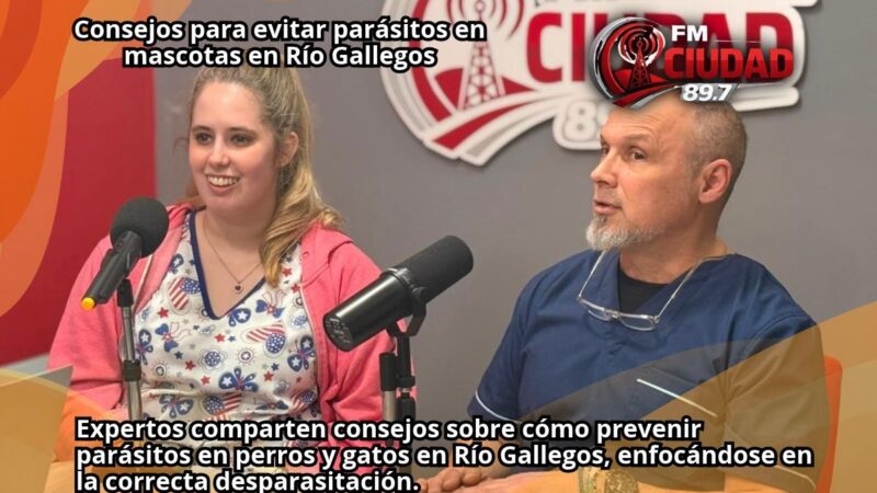 Consejos para evitar parásitos en mascotas en Río Gallegos